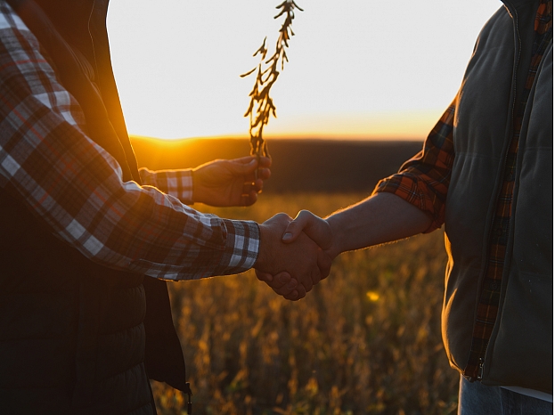 Autors: Shutterstock.com