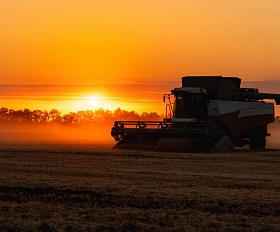 No idejas līdz realizācijai: kā Agerona palīdz atrast noietu mazāk ierastiem kultūraugiem?