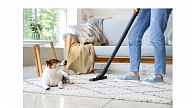 Kā tīrīt grīdas, ja mājās ir dzīvnieki?