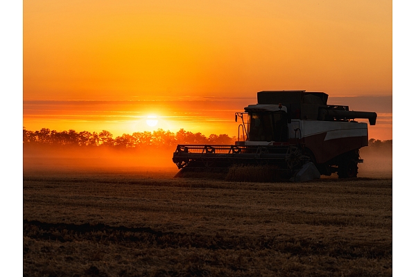 No idejas līdz realizācijai: kā Agerona palīdz atrast noietu mazāk ierastiem kultūraugiem?