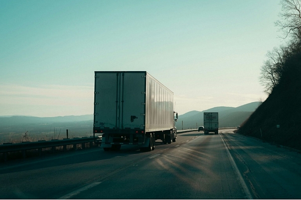 Domestic Distribution Services: Reliable, Efficient, and Tailored to Your Needs