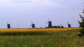 Stock Market in Estonia