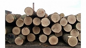 Forest industry faces new challenges
