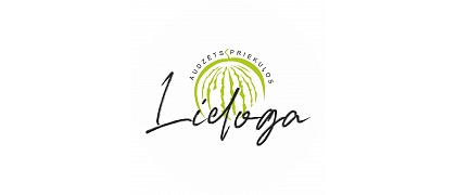 LIELOGA, ООО