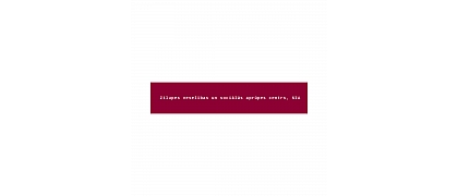 Zilupes sociālās aprūpes centrs, LTD