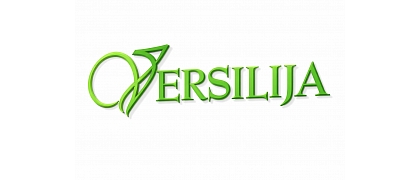 Versilija.V, LTD