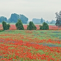 Фотограф