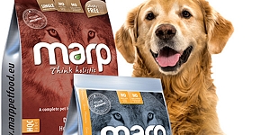 Dog food MARP