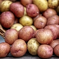 potato wholesale
