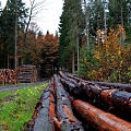 logging in Vidzeme