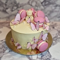Tortes
