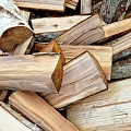 Firewood in Cesis