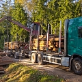 Timber transport services Jekabpils