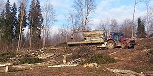 Лесоразработка