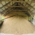 GRAIN PROCESSING AND FEED PREPARATION