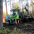 Logging company in Kurzeme