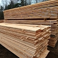 Timber Jekabpils