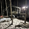 Tree cutting