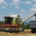 Grain prices