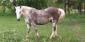 Услуги