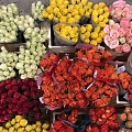 Услуги флористики