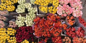 Срезанные цветы