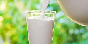 Milk production