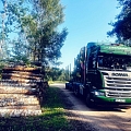 Услуги лесовоза