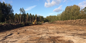 Deforestation