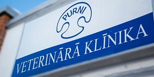 Veterinary consultations
