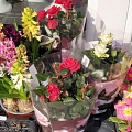 Fresh flowers in Riga