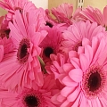 Cut flowers in Kengarag