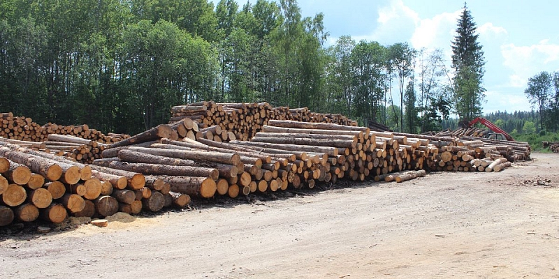 Purchase of saw logs