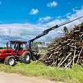 buying of felling sites