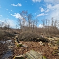 Agricultural land clearing