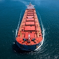 Grain trade