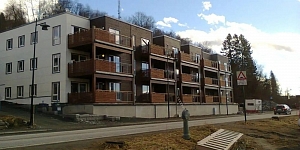 Wooden frame houses
