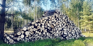 Mežizstrādes pakalpojumi