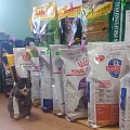 animal food
