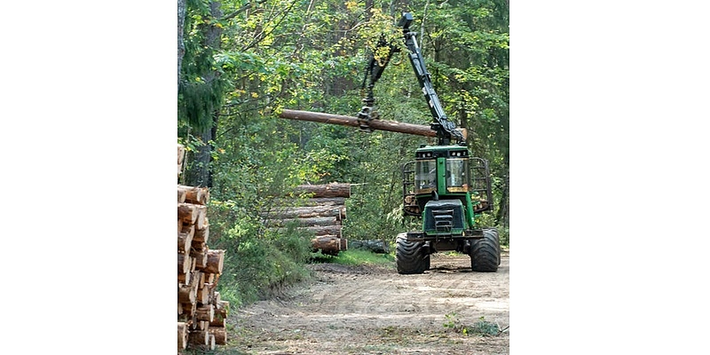 Лесоразработка