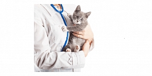 Vaccinations