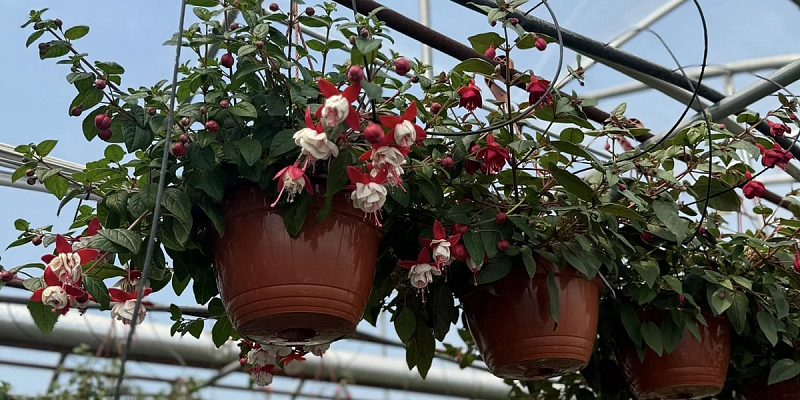 Accept orders 2026. for the season of the year!