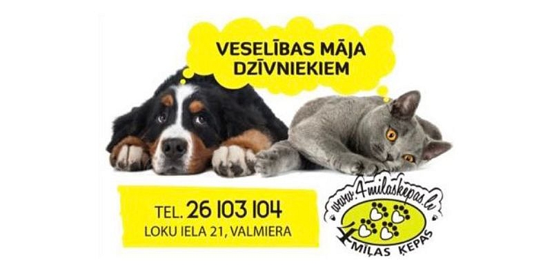 Veterinarian services