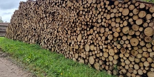 Транспортировка лесоматериалов