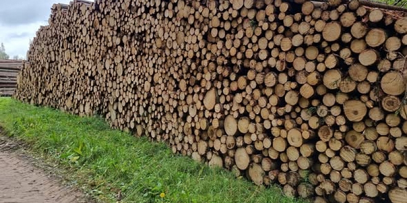 Timber transportation