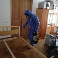Дезинфекция