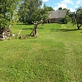 Mowing and trimming
