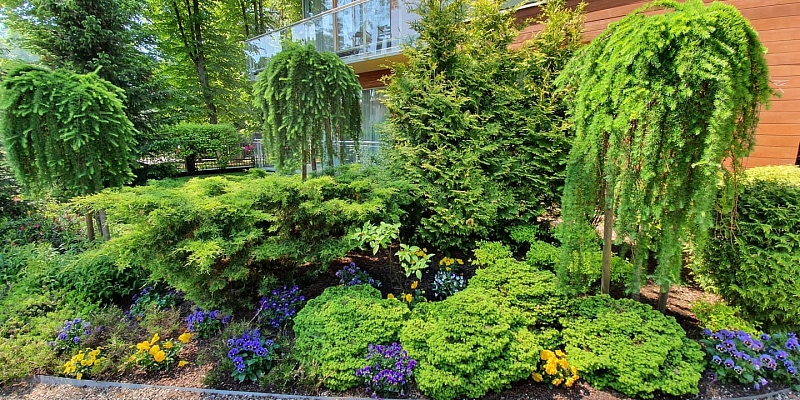 Создание алей