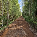 Buying forest properties in Vidzeme