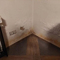 Проверка влажности от компании Damp Detectives